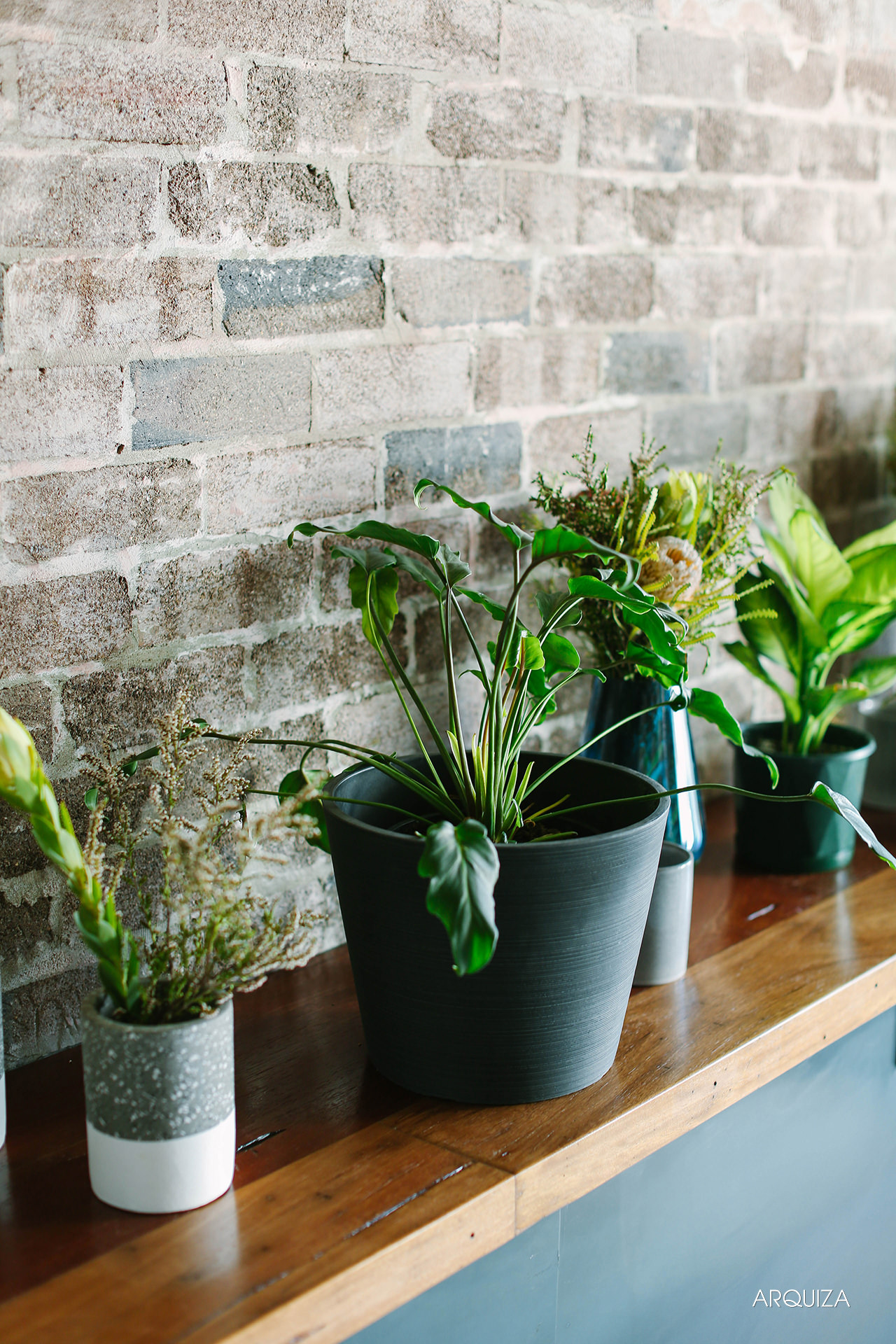 Canva Sydney Office and Culture Photo Shoot Pinoy Photographers